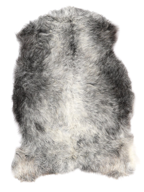 NM00016