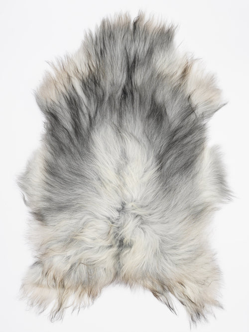 OF00075