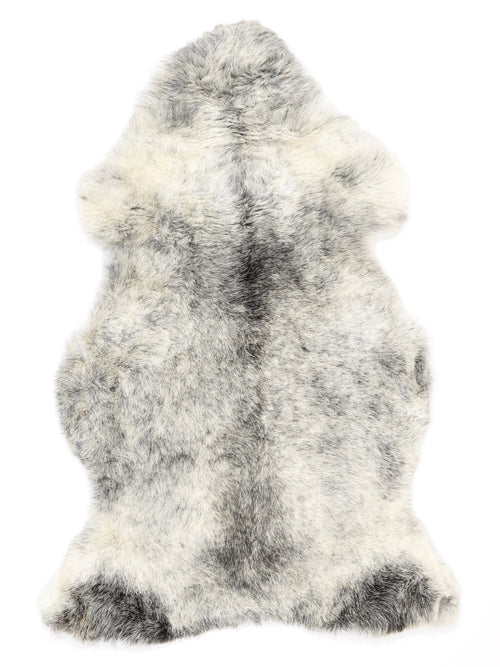 NC00092