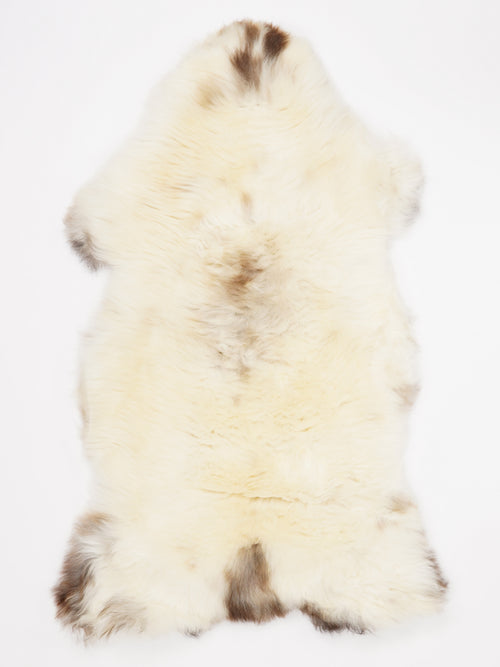 OR00035