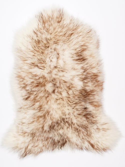 NF00026