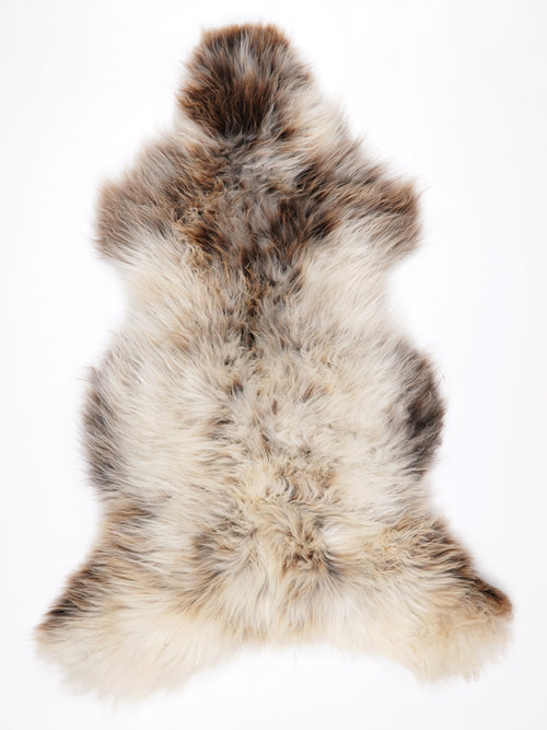 NX00019