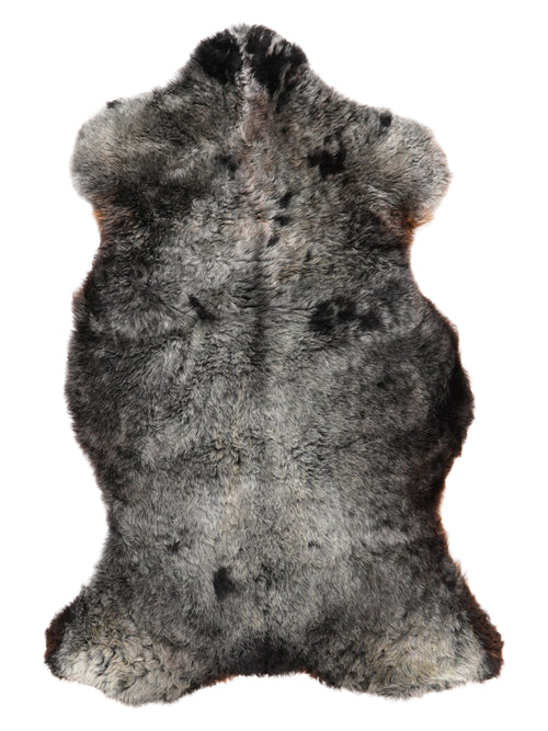 NC00049