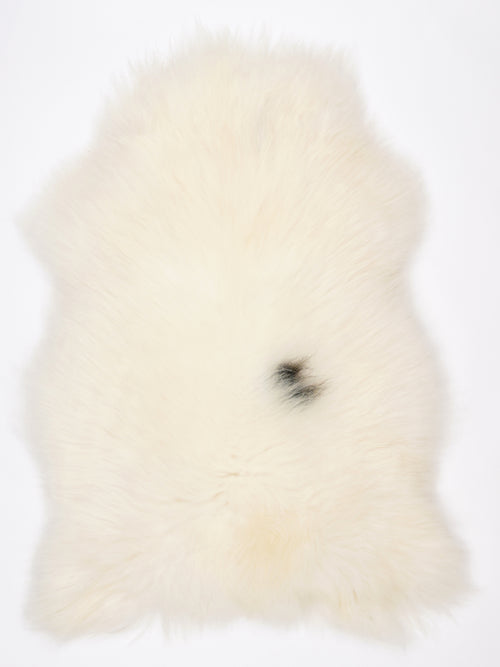 NV00019
