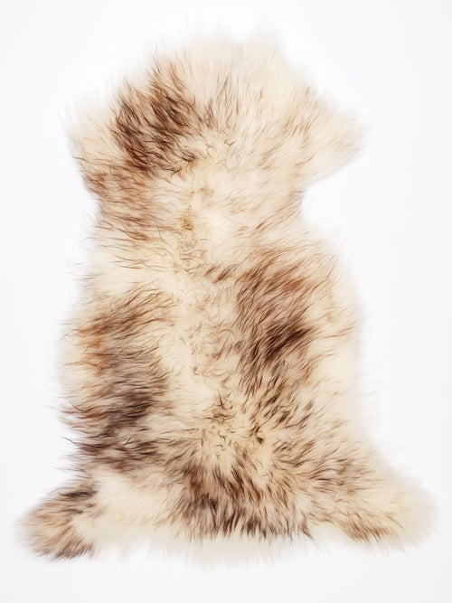 NF00043