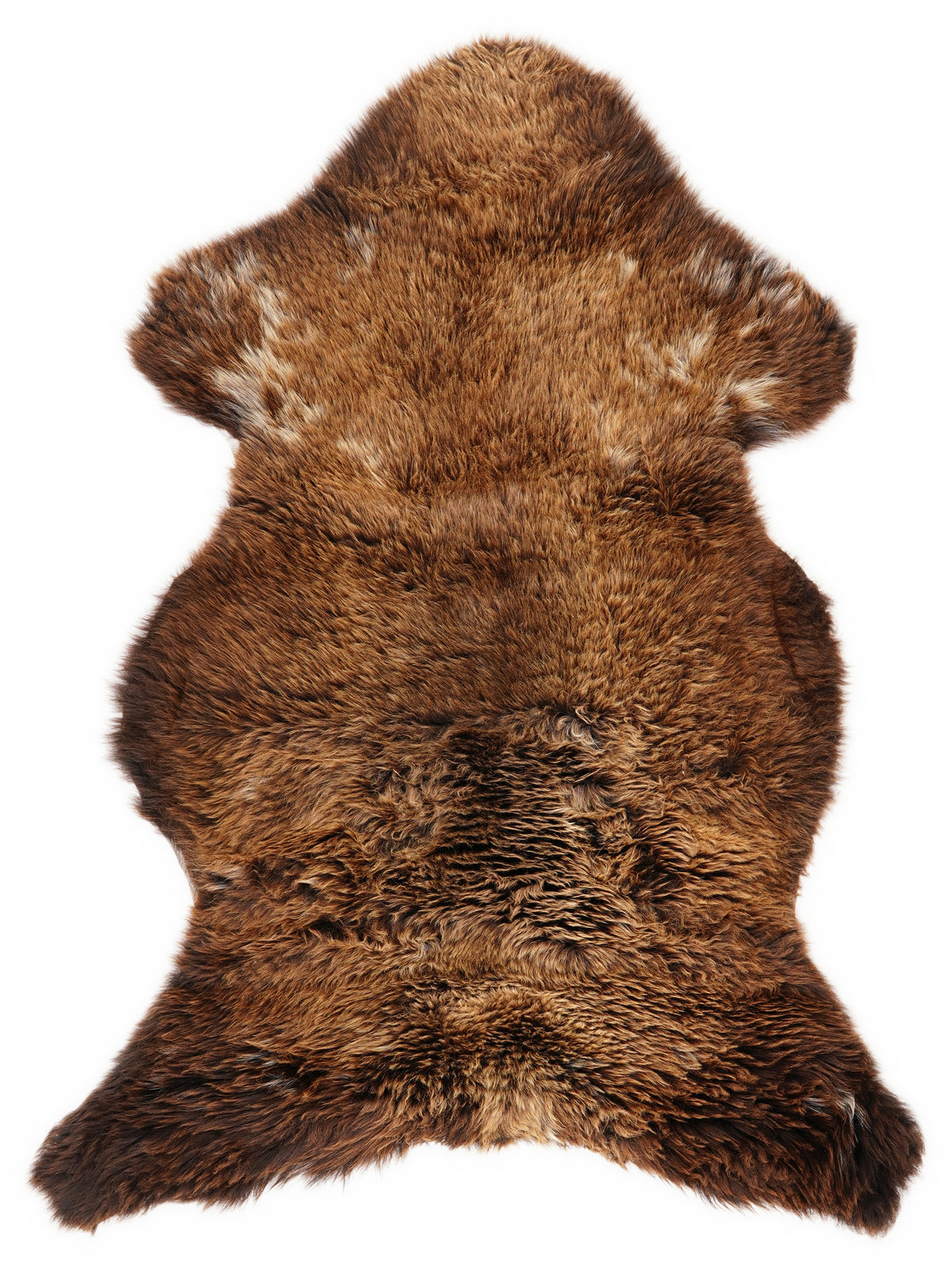 OZ00001