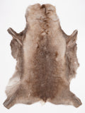 OX00021