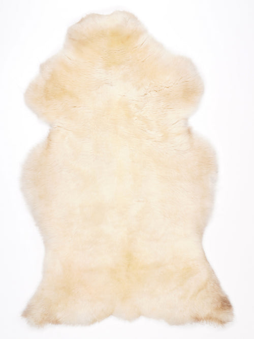 NG00028