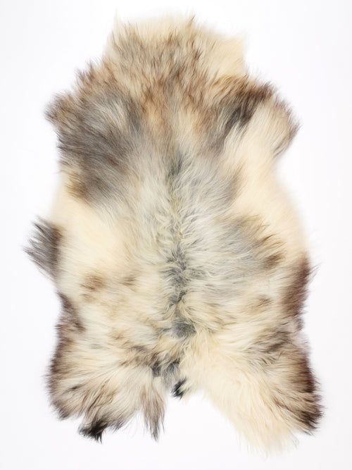 NT00033