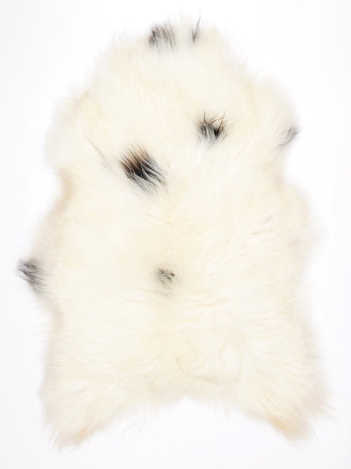 MW00065