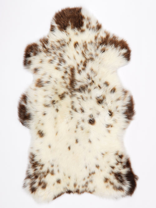 MV00067