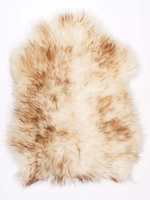 NF00027