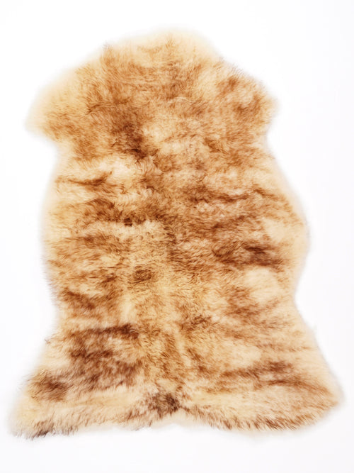NF00019