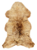 OY00081