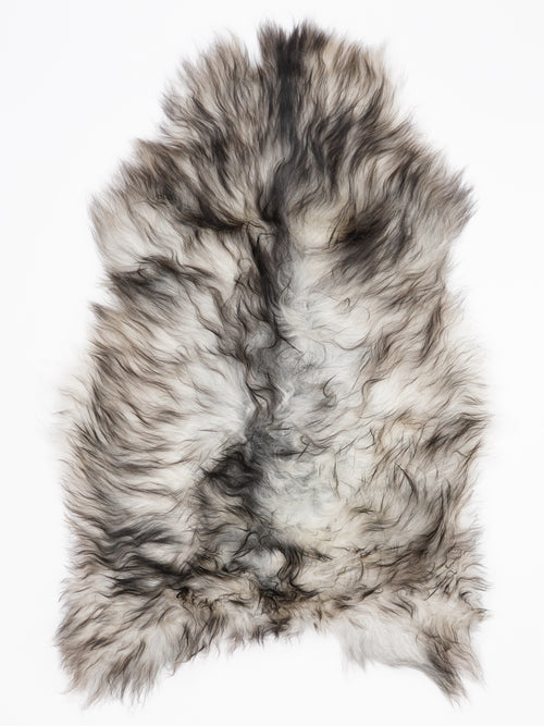 ON00063