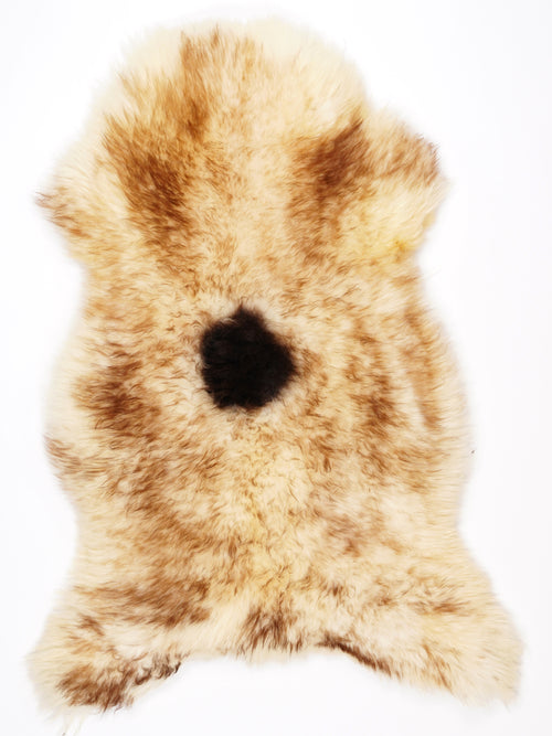 NF00025