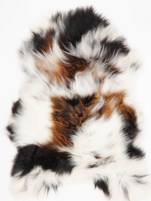 OS00019