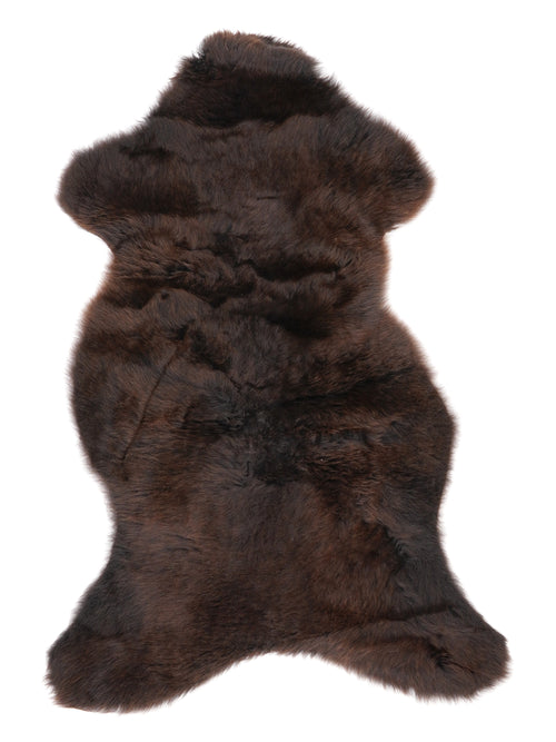 NM00037